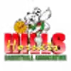 希尔斯黄蜂女篮
